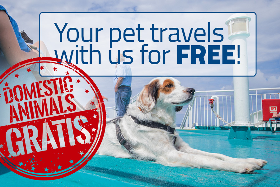 Your pet travels with us for FREE!